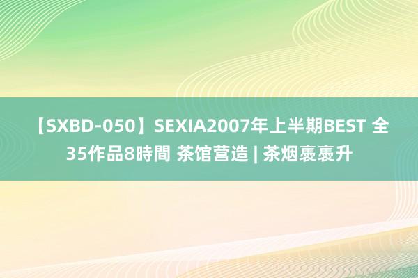 【SXBD-050】SEXIA2007年上半期BEST 全35作品8時間 茶馆营造 | 茶烟褭褭升