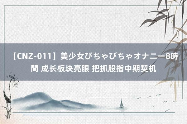 【CNZ-011】美少女びちゃびちゃオナニー8時間 成长板块亮眼 把抓股指中期契机