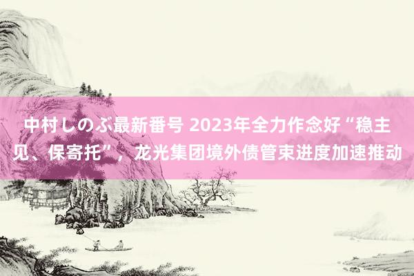 中村しのぶ最新番号 2023年全力作念好“稳主见、保寄托”，龙光集团境外债管束进度加速推动