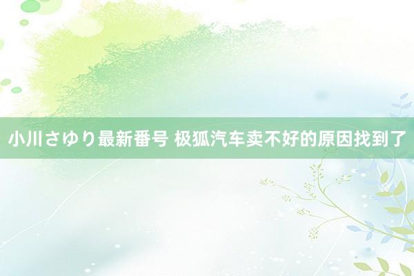 小川さゆり最新番号 极狐汽车卖不好的原因找到了