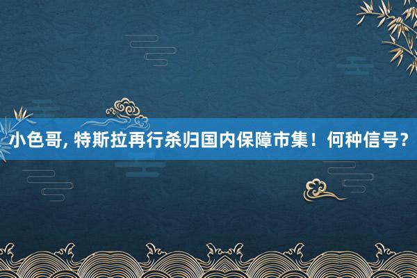 小色哥, 特斯拉再行杀归国内保障市集！何种信号？