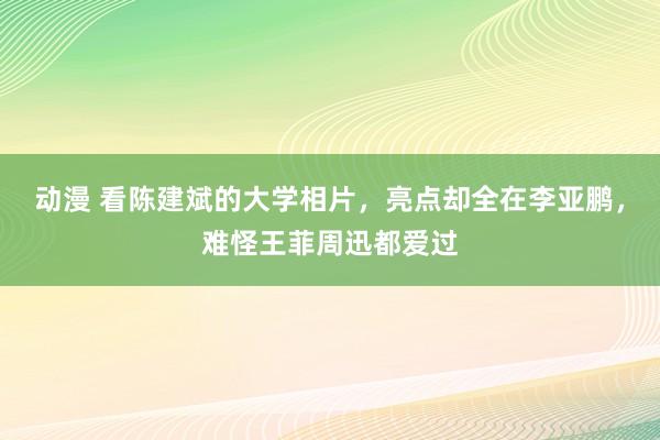 动漫 看陈建斌的大学相片，亮点却全在李亚鹏，难怪王菲周迅都爱过