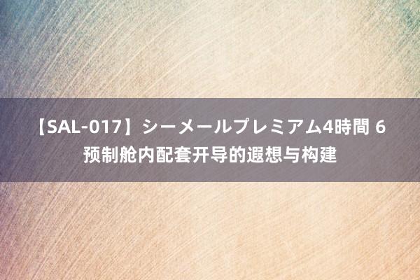 【SAL-017】シーメールプレミアム4時間 6 预制舱内配套开导的遐想与构建