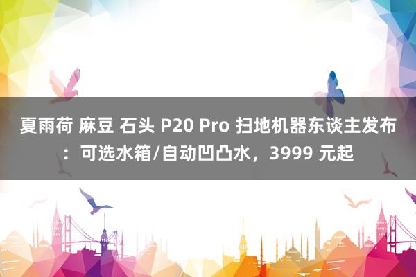 夏雨荷 麻豆 石头 P20 Pro 扫地机器东谈主发布：可选水箱/自动凹凸水，3999 元起