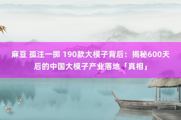 麻豆 孤注一掷 190款大模子背后：揭秘600天后的中国大模子产业落地「真相」