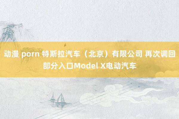 动漫 porn 特斯拉汽车（北京）有限公司 再次调回部分入口Model X电动汽车