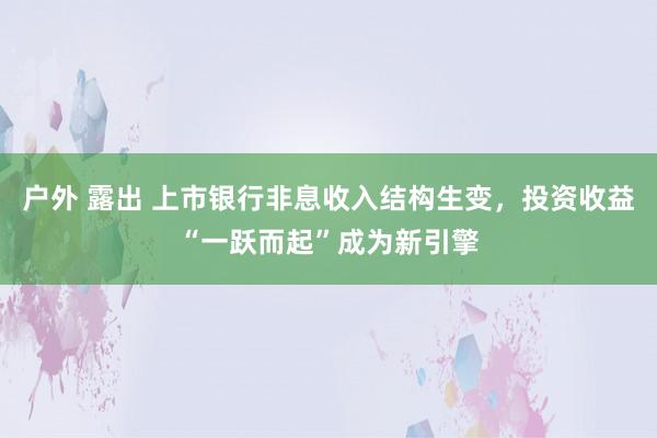 户外 露出 上市银行非息收入结构生变，投资收益“一跃而起”成为新引擎