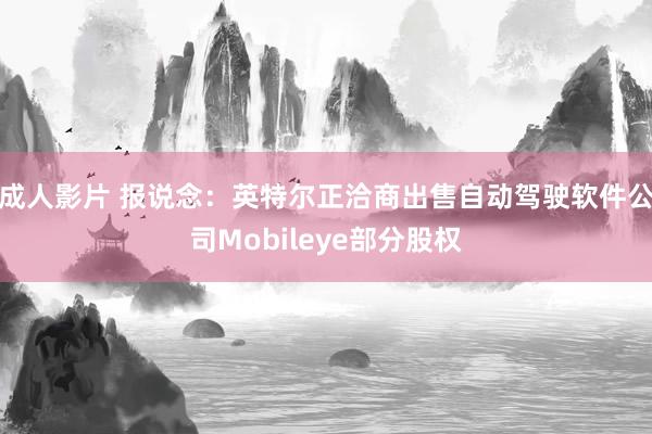 成人影片 报说念：英特尔正洽商出售自动驾驶软件公司Mobileye部分股权