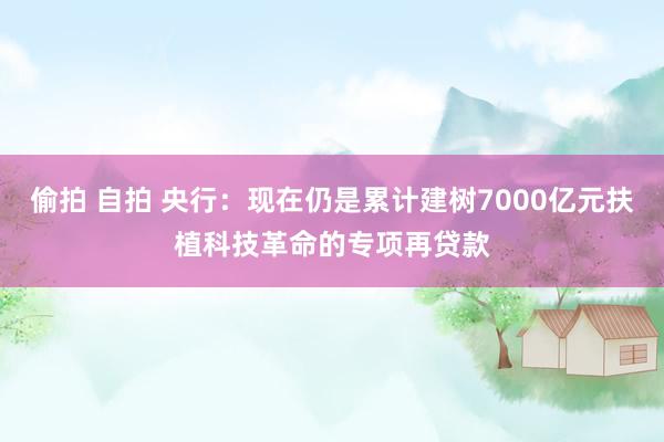 偷拍 自拍 央行：现在仍是累计建树7000亿元扶植科技革命的专项再贷款