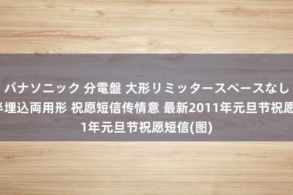 パナソニック 分電盤 大形リミッタースペースなし 露出・半埋込両用形 祝愿短信传情意 最新2011年元旦节祝愿短信(图)