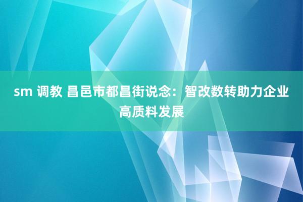 sm 调教 昌邑市都昌街说念：智改数转助力企业高质料发展