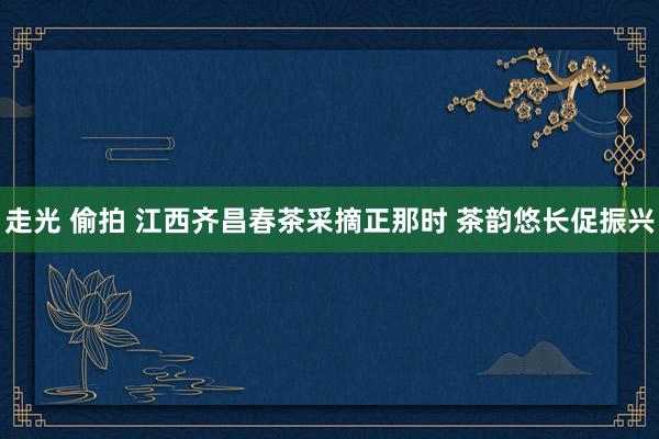 走光 偷拍 江西齐昌春茶采摘正那时 茶韵悠长促振兴