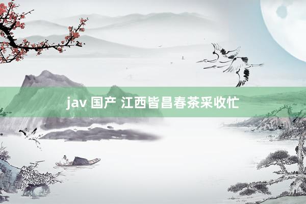 jav 国产 江西皆昌春茶采收忙